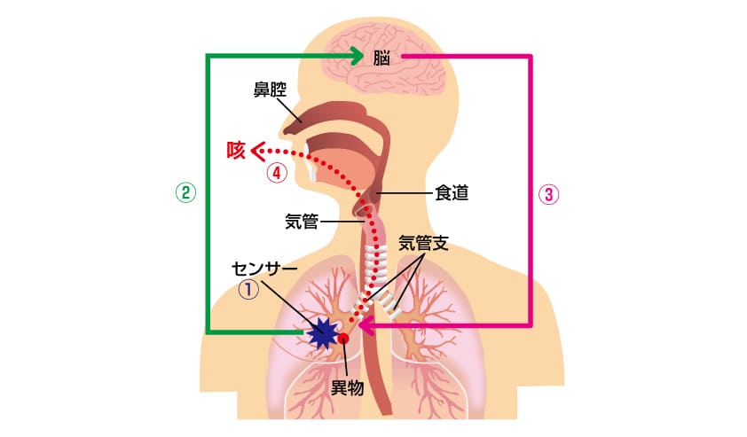 違和感 止まら 咳 に ない が 喉 喉がムズムズ・イガイガしたり咳が止まらないのはなぜ？