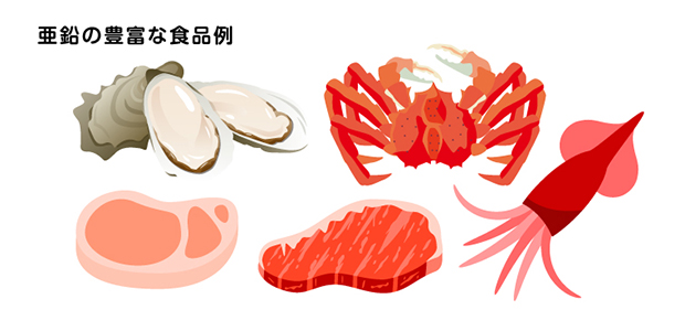 亜鉛のおもな特徴とアレルギー疾患を改善するはたらき 横浜弘明寺呼吸器内科クリニック健康情報局