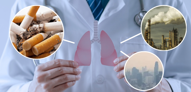 喫煙や大気汚染と肺の健康の関係を示すイメージ画像