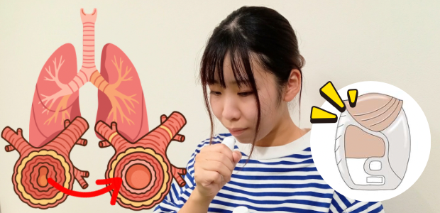 吸入薬を使用する女性と、気道の図や吸入薬のイラストを組み合わせた画像