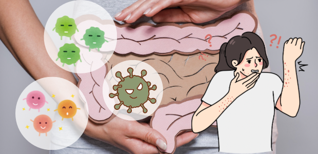 腸内環境のイメージと、腸内細菌や肌のトラブルを示すイラストを組み合わせた画像
