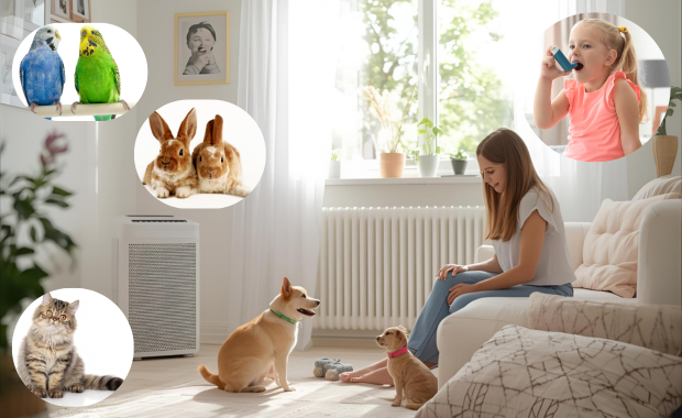 喘息 ペット アレルギー 対策 注意点