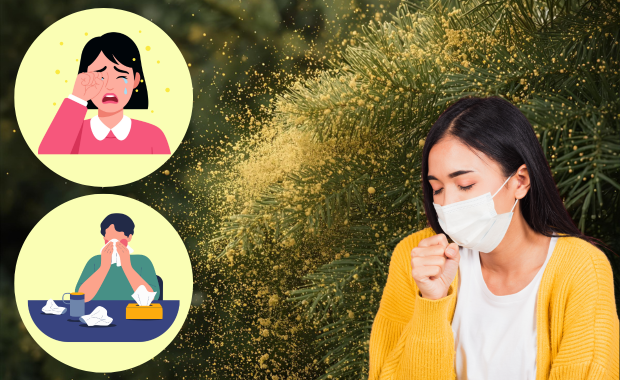 花粉症 原因 症状 目のかゆみ 鼻水