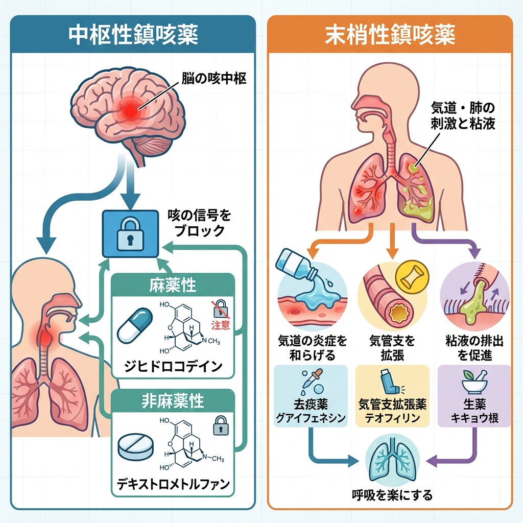 咳止め 中枢性鎮咳薬 末梢性鎮咳薬