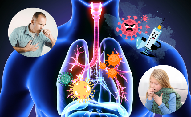 新型コロナウイルスによる呼吸器への影響を示した様子