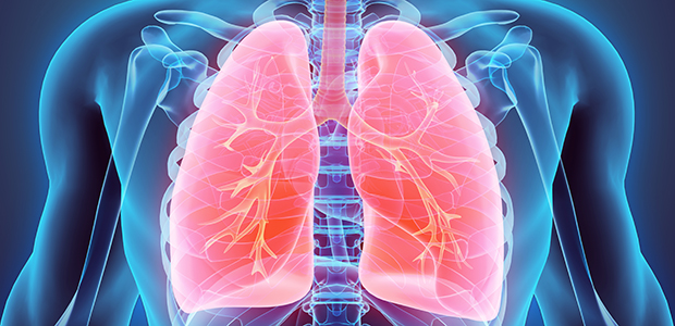 レントゲン写真から、呼吸器内科でわかること  横浜弘明寺呼吸器内科 