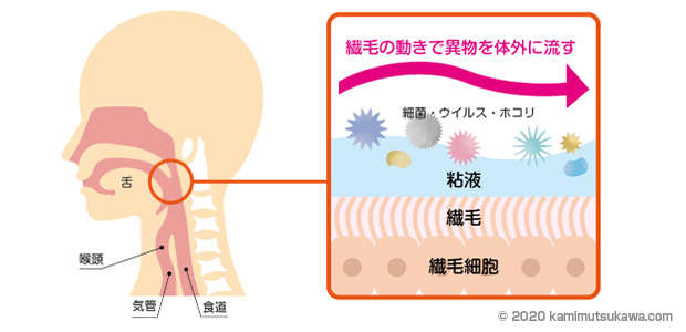 乾い た 咳 喉 の 違和感