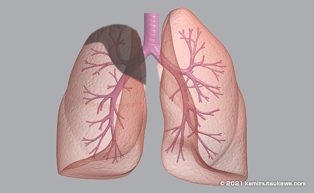 医師の診察を受ける時期