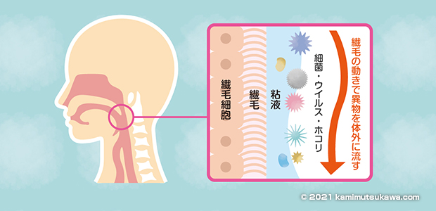 子供 痰 がらみ の 咳 続く