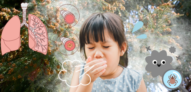 喘息　花粉　ほこり