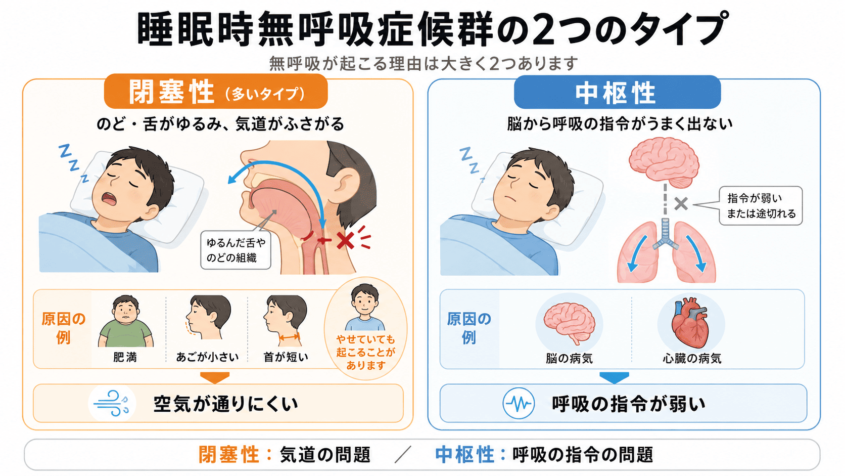睡眠時無呼吸症候群の予防 いびきや眠気の原因と対策 | 横浜弘明寺呼吸