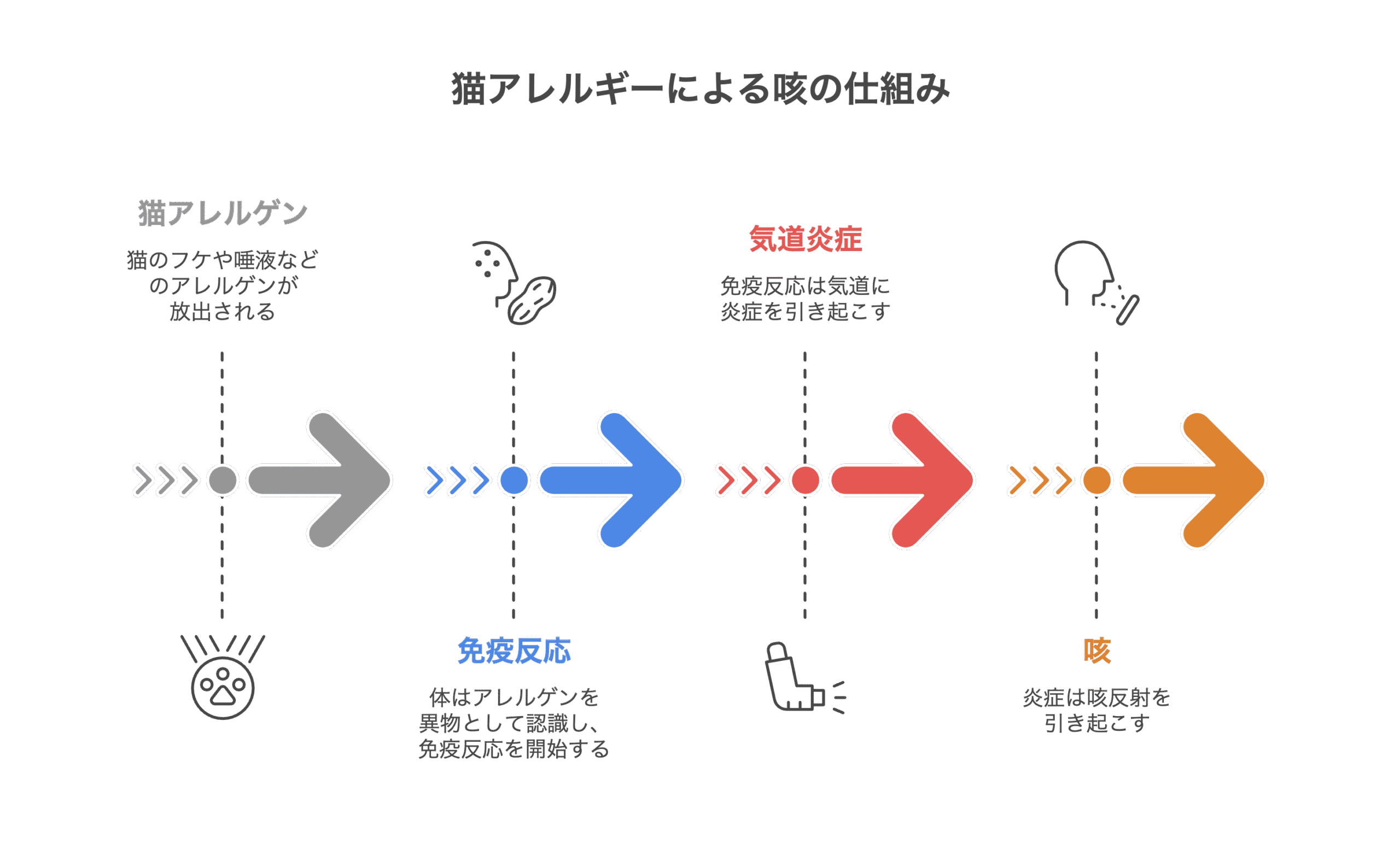 猫 アレルギー