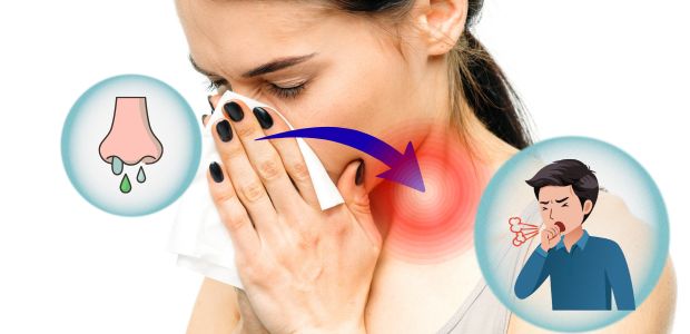 鼻を押さえる女性の喉部分が赤く炎症し、鼻水や咳による不調が描かれている様子