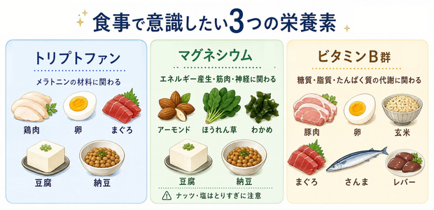 食事で意識して取りたいトリプトファン、マグネシウム、ビタミンB群の3つの栄養素を整理した図解