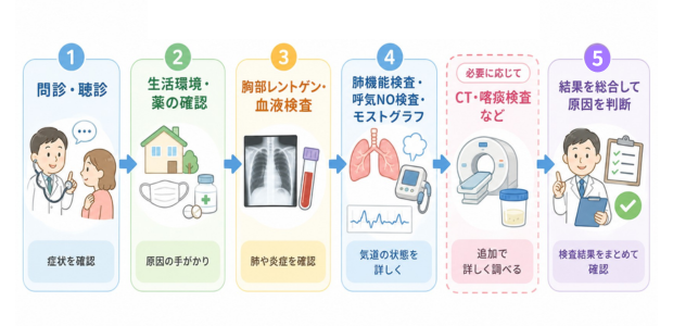 咳が止まらない時の検査の流れの図解